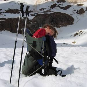 Meet your Posher, Noah